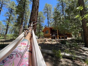 Enceinte de lâhĂ©bergement