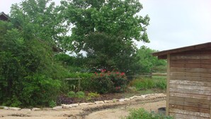 Un jardin avec un abri en bois, un chemin de terre et diverses plantes et fleurs.