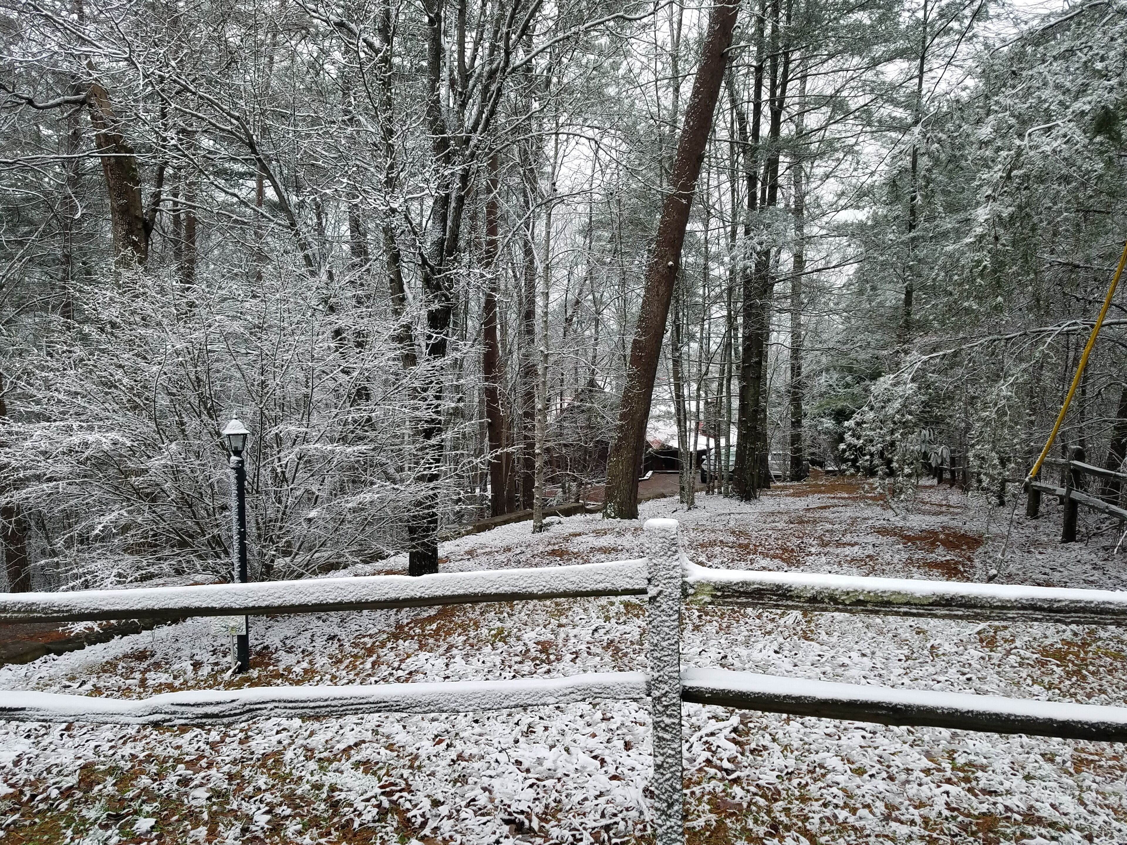 A snow-covered forest path with a wooden fence and a lamp post.