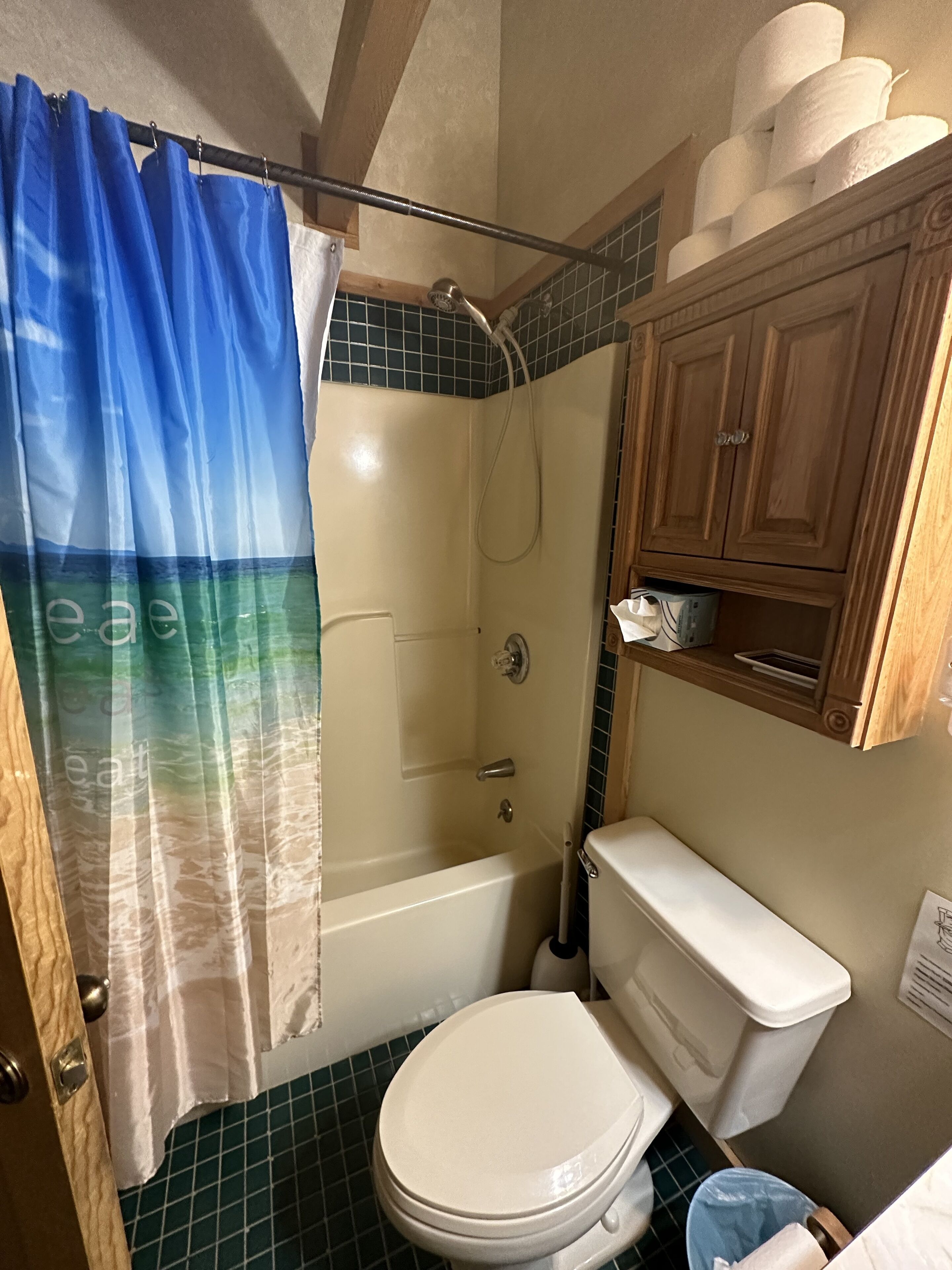 A bathroom with a shower curtain, a bathtub, a toilet, and a wooden cabinet.
