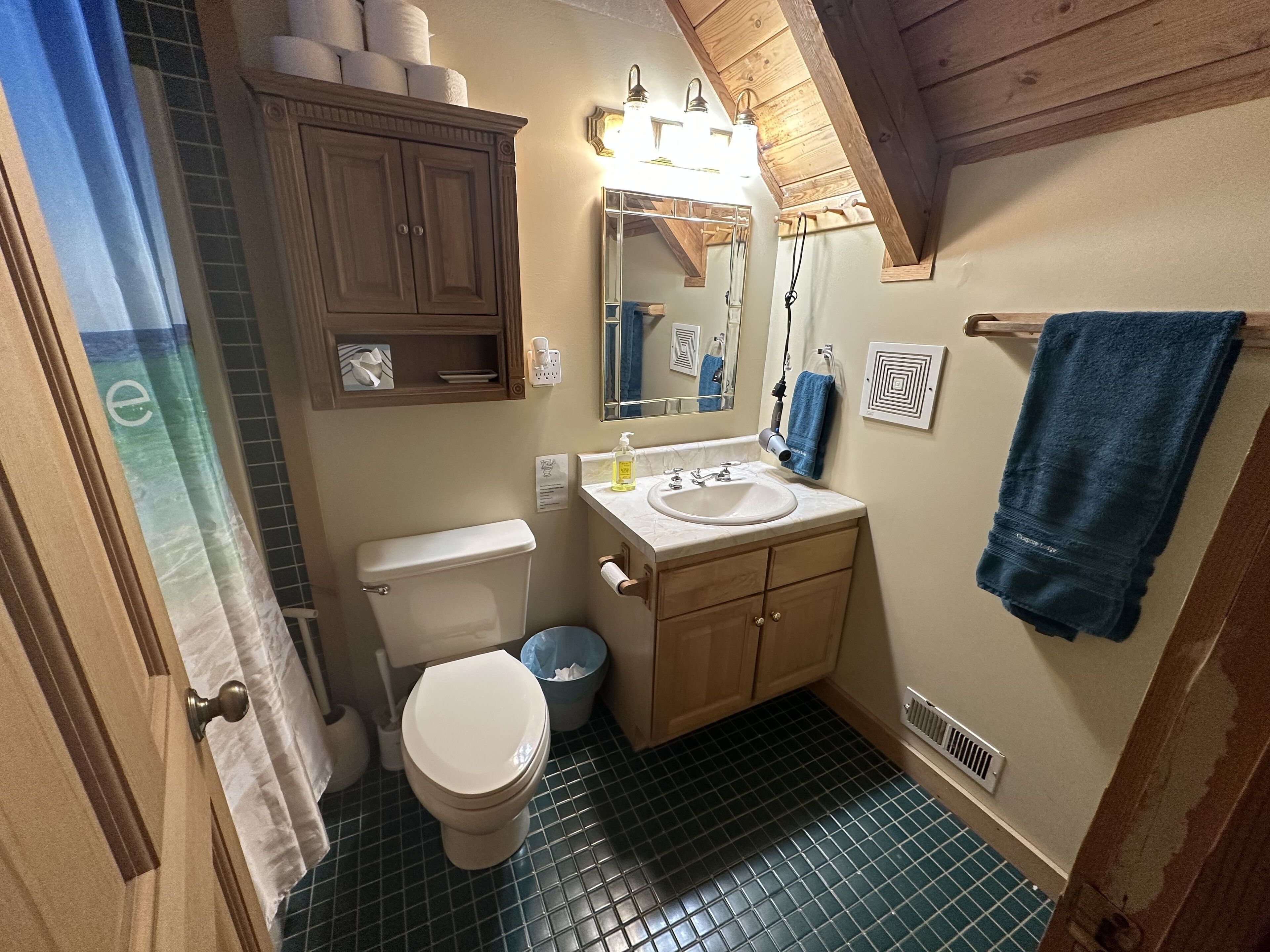 Une salle de bain équipée de toilettes, d’un lavabo, d’un miroir, d’un porte-serviettes et d’armoires en bois.