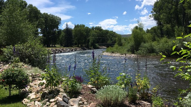 A river with a rocky riverbank and surrounding greenery.