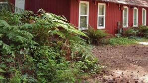 A red wooden cabin with a thatched roof, surrounded by dense forest. - Enjoy a Relaxing Weekend in the Woods at Shady Maple Cottage🌲🍂🍁 (Hoodsport)