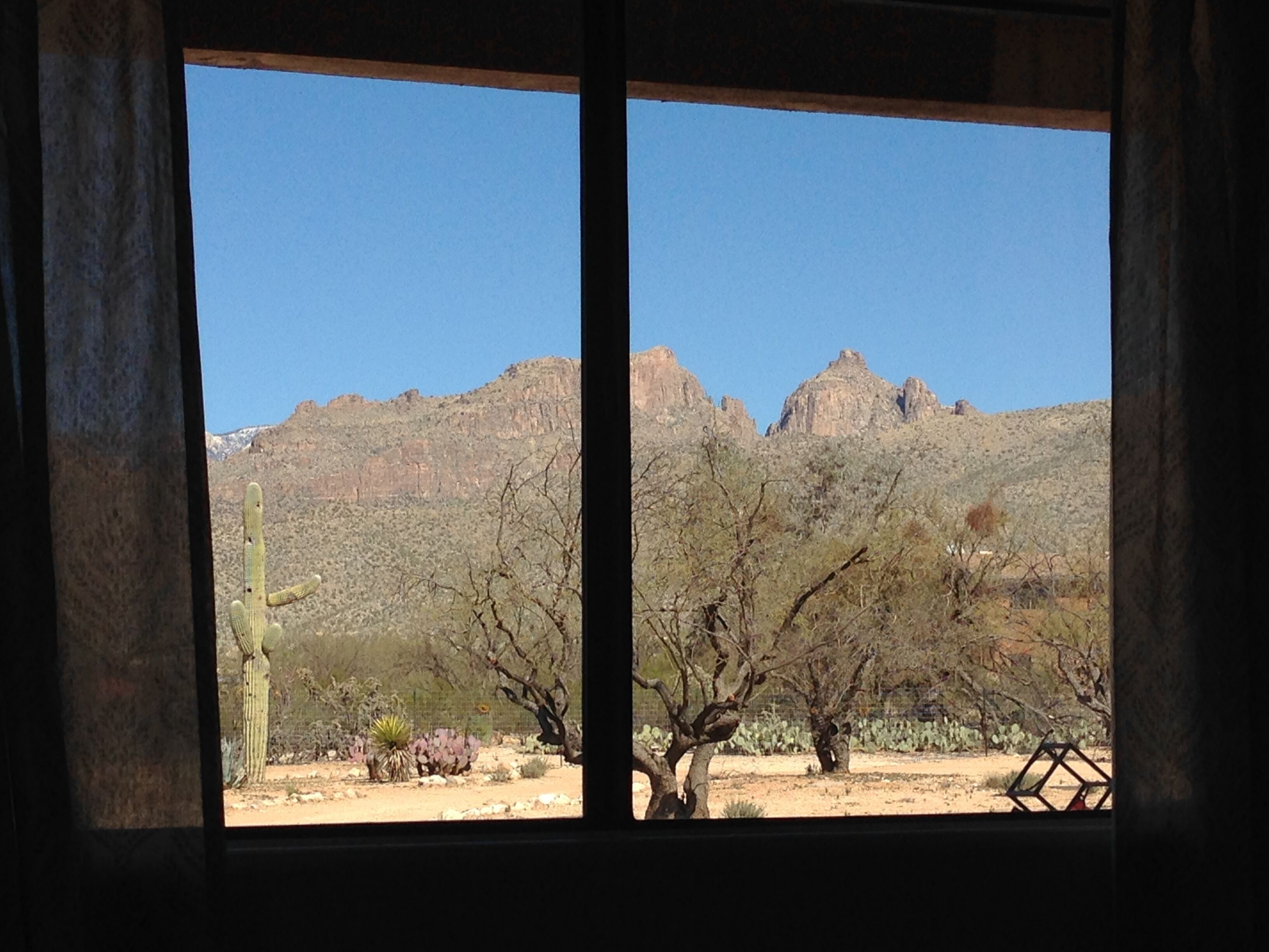 Blick durch ein Fenster auf eine Wüstenlandschaft mit Kakteen und vereinzelten Bäumen, im Hintergrund ein Berg.