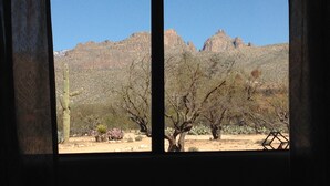 A view through a window of a desert landscape with cacti and sparse trees, and a mountain in the background. - Ranch Casita: views, views, views! (Tucson)