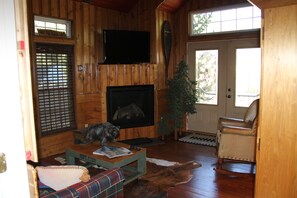 TV, fireplace, DVD player, books