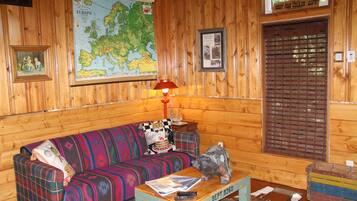 Télévision, cheminée, lecteur de DVD, livres