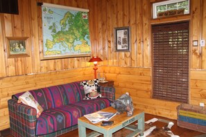 TV, fireplace, DVD player, books