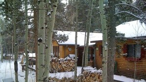 Eine Blockhütte, umgeben von Birken mit Schnee auf dem Boden und dem Dach.