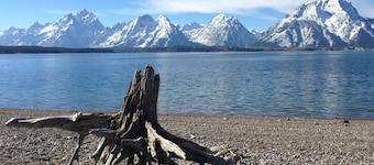 Jackson Hole Condo, 5 miglia dal Grand Teton National Park, 4 miglia a stazione sciistica