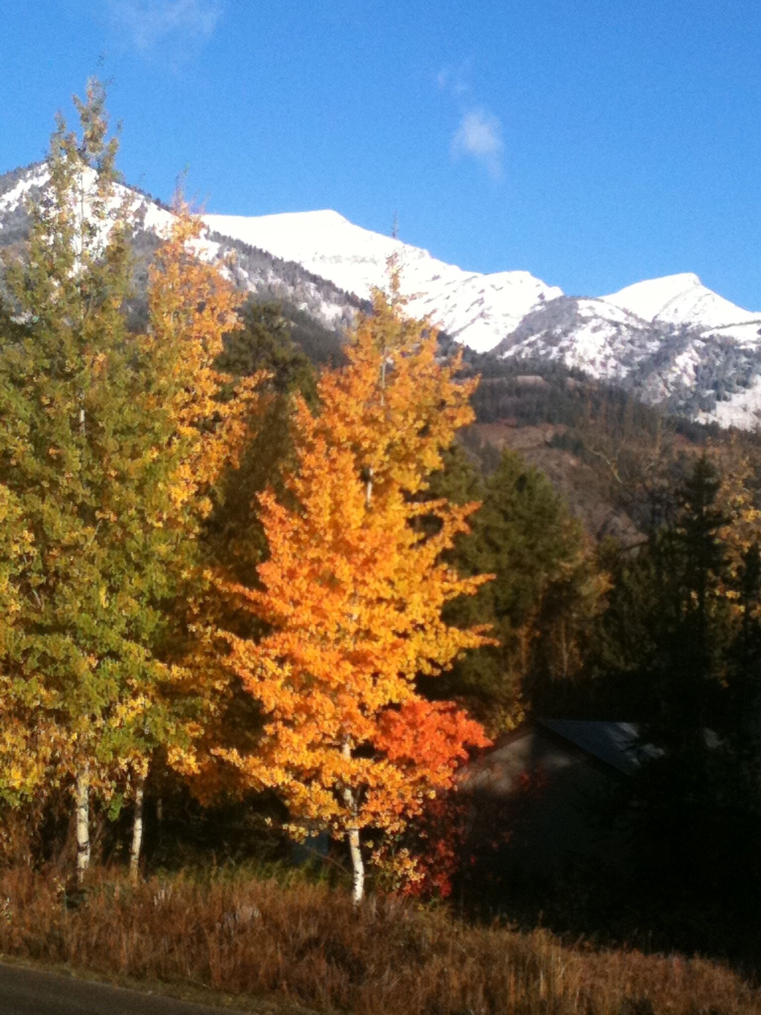 A mountain landscape with snow-capped peaks and autumn-colored trees.