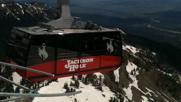 A cable car with "Jackson Hole" branding, suspended over a snowy mountain landscape with trees and distant views.