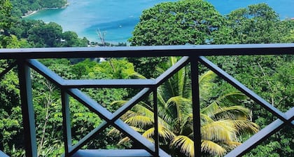 The Charlotteville Lookout - Oceanview Mountain Top Bird Watchers Paradise