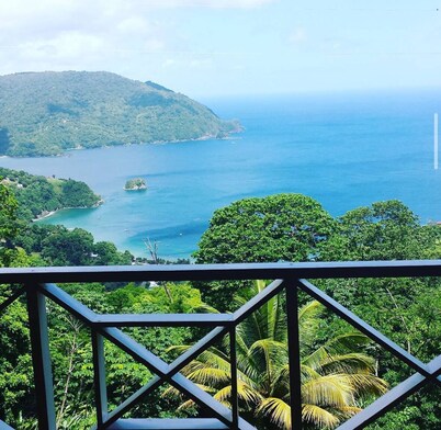 The Charlotteville Lookout - Oceanview Mountain Top Bird Watchers Paradise