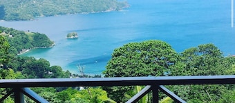 The Charlotteville Lookout - Oceanview Mountain Top Bird Watchers Paradise