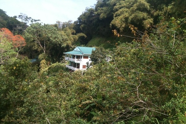 View of Charlotteville Lookout