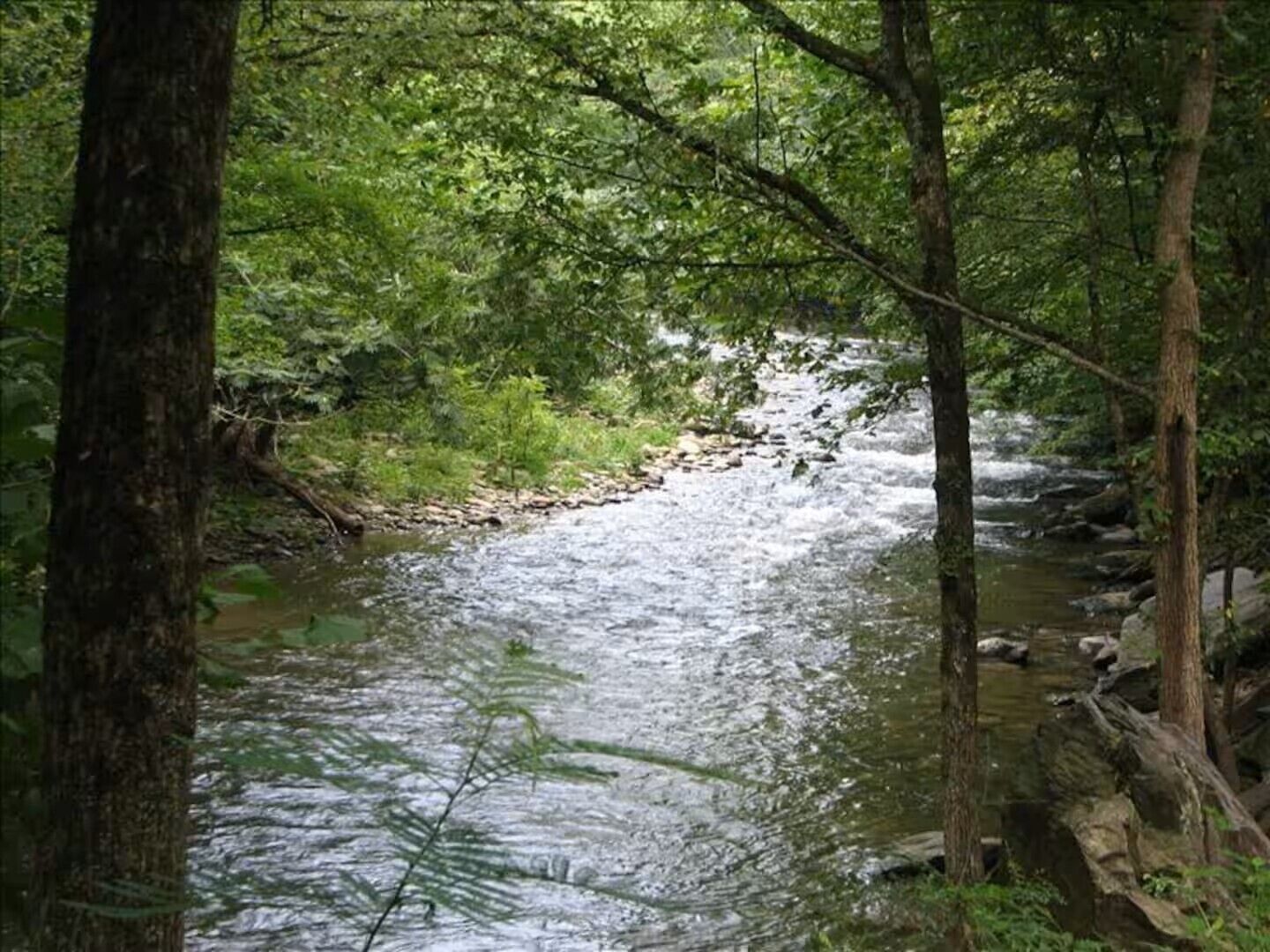 A river flowing through a forested area with trees and rocks along the banks.