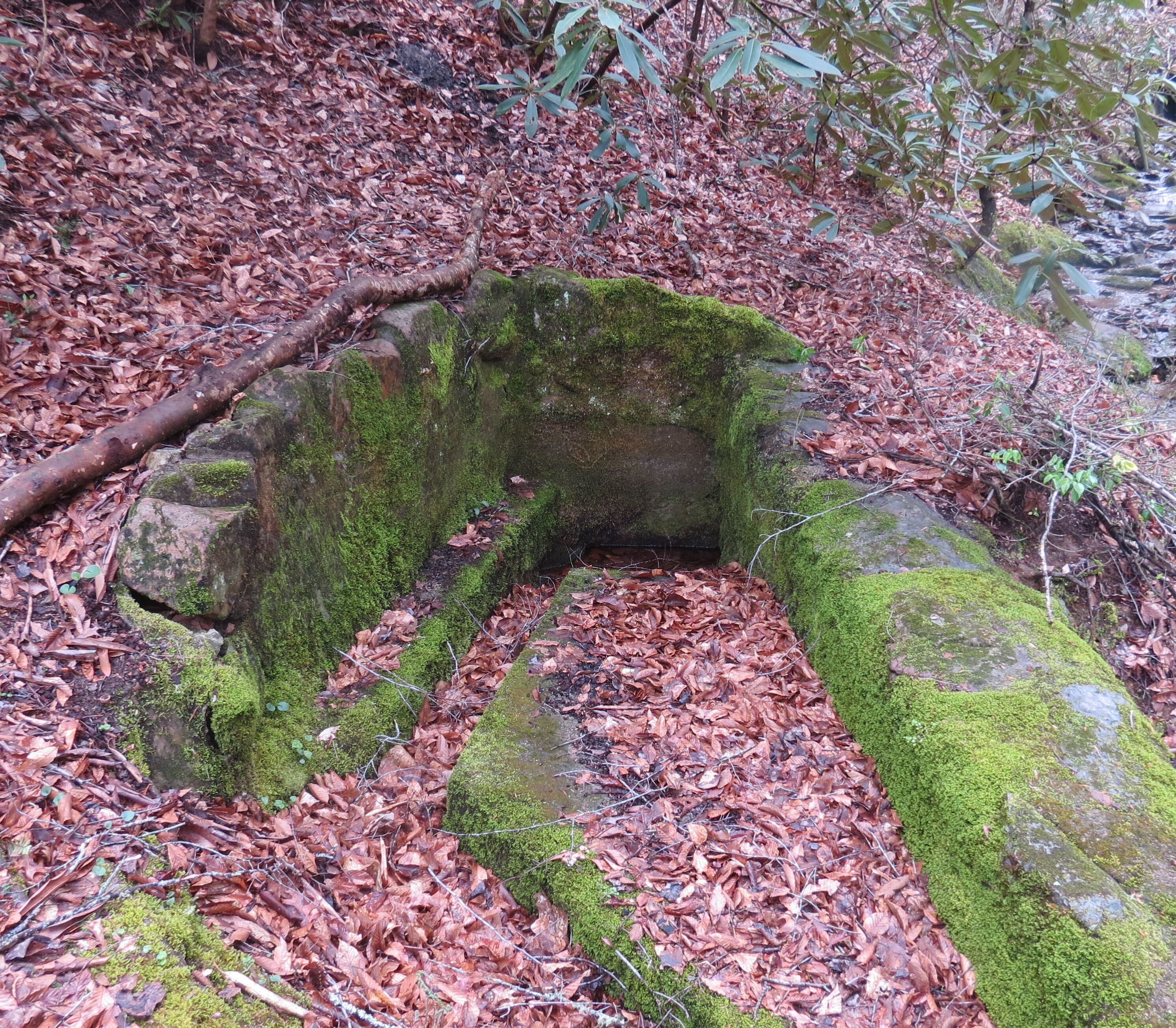 A moss-covered stone structure in a forest.