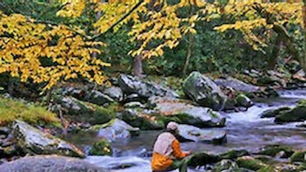 A natural outdoor setting with a stream and rocks.