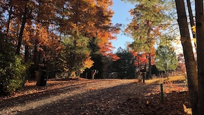 A forest path with autumn foliage, a clear sky, and a trash bin. - Get Away from it All in This Immaculate Cabin in the Woods (Blairsville)