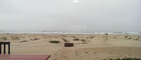 A beach with a wooden bench and a trash bin.