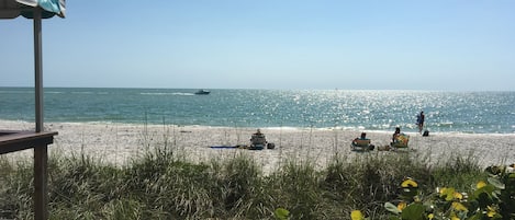 Sun-loungers, beach towels