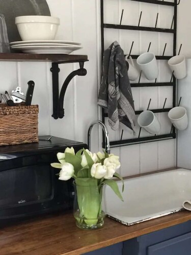 Romantic Refreshing 1890s Cottage Uptown Eureka Springs Weekday Specials!