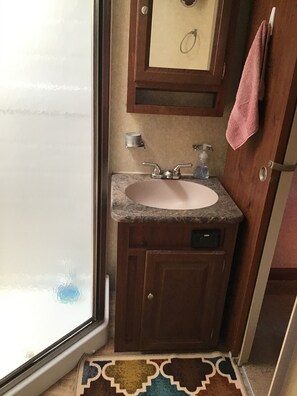 Shower, towels, toilet paper