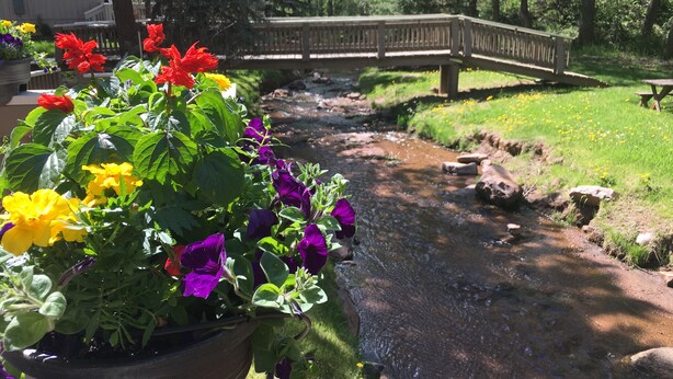 A garden with a variety of flowers and a small stream.
