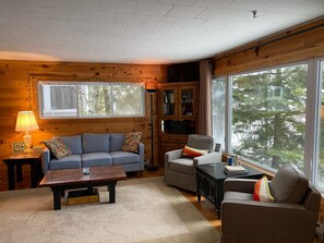 Smart TV, fireplace, DVD player, books