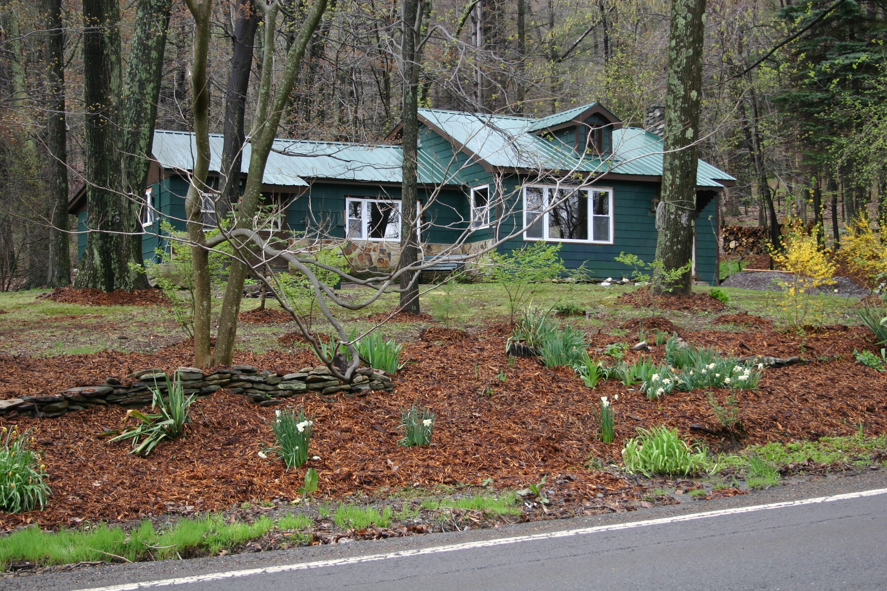 Cozy cabin - Minutes From Ricketts Glen State Park