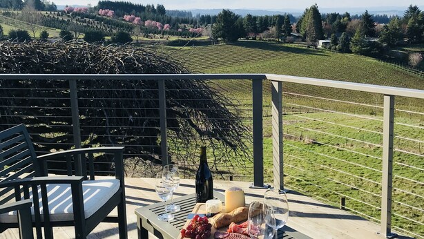 A terrace with a table set for a meal, overlooking a vineyard. - Wine country with views (Newberg)