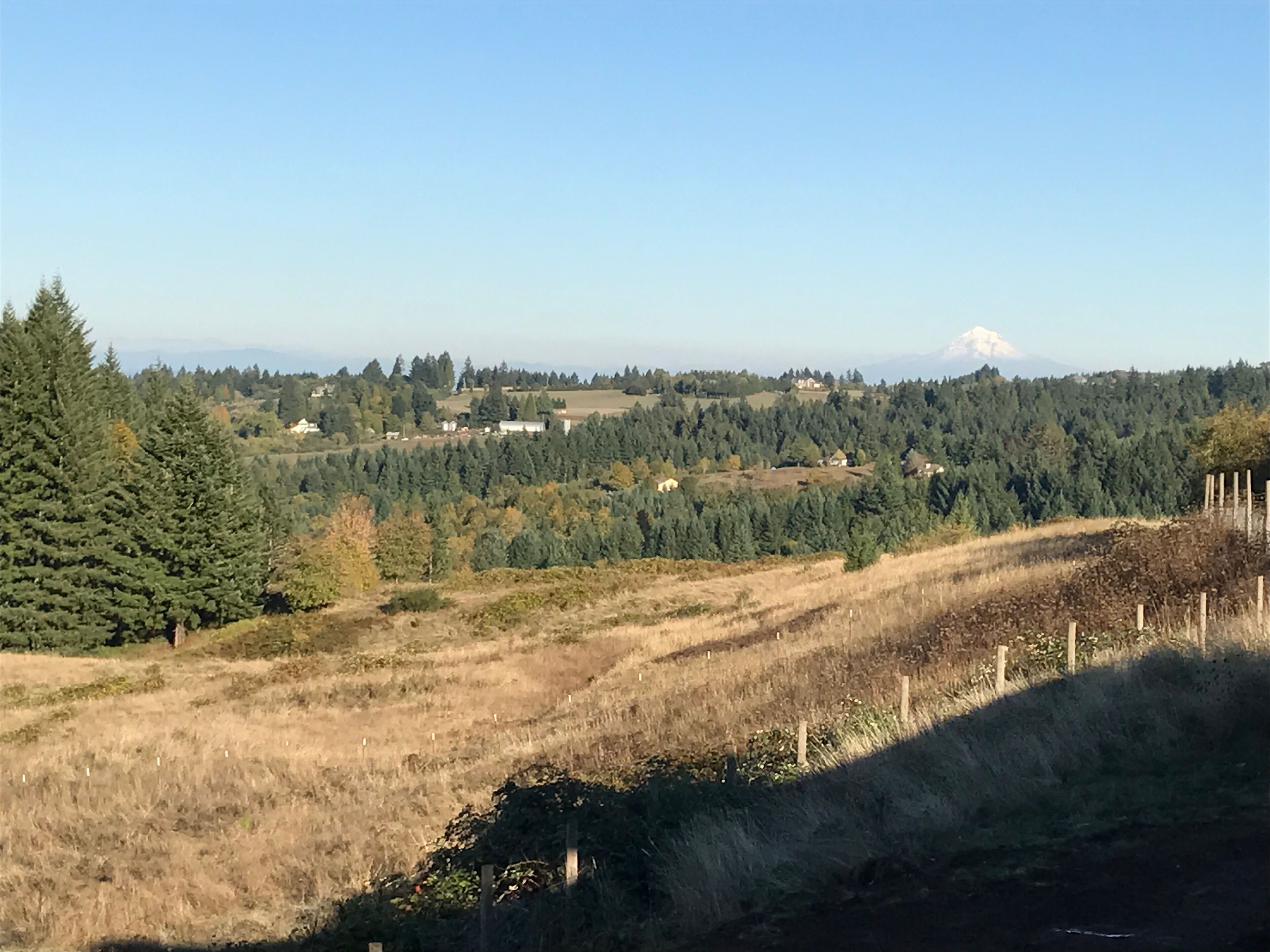 A rural landscape with a mountain in the distance, surrounded by dense forests and open fields.