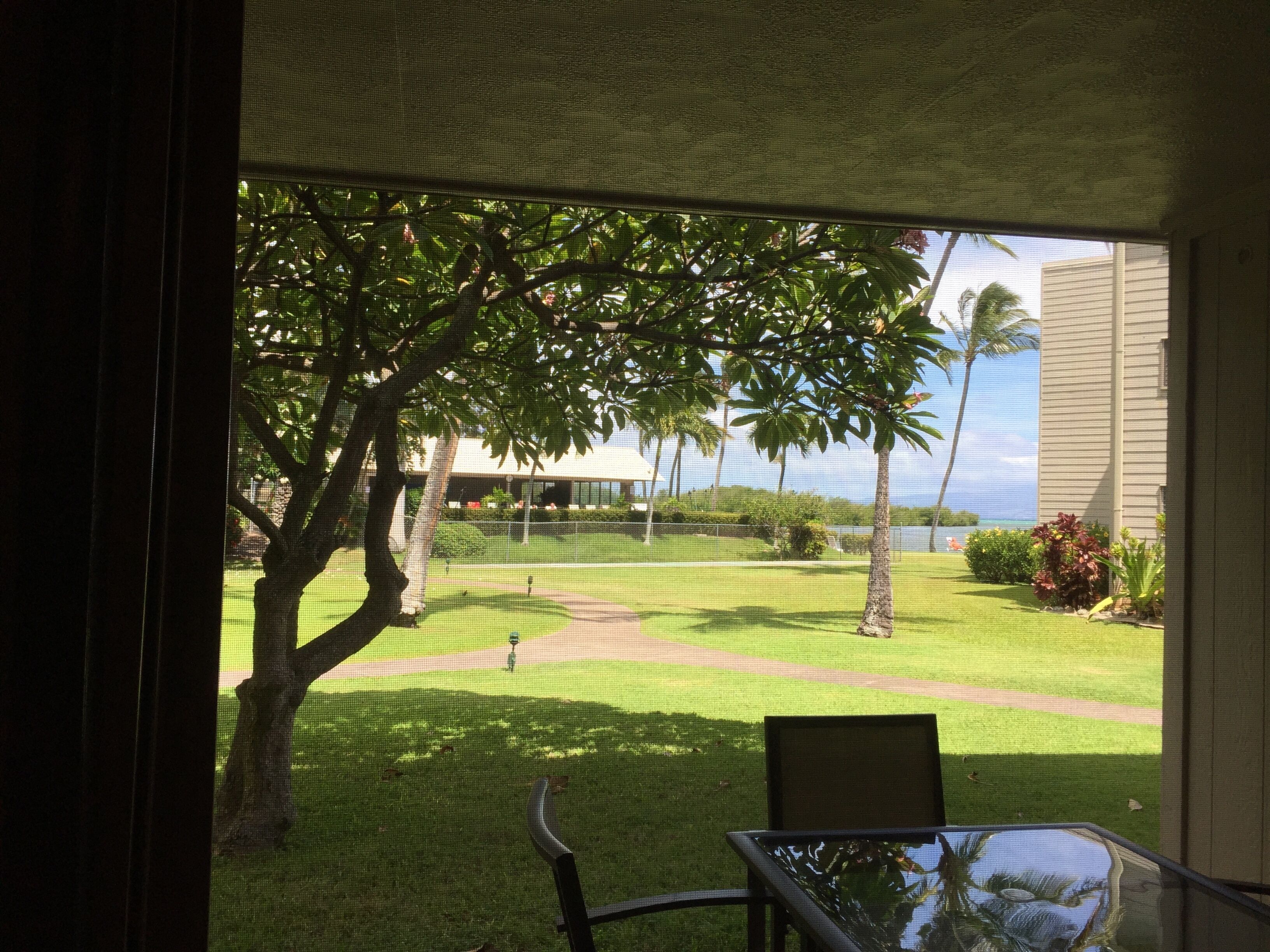 Molokai Vacation Rentals Affordable Condos, Oceanfront Homes, Beach Villas
