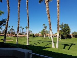 Property grounds - Dream vacation rental!  Spacious and comfortable,  Family and pet friendly. (Palm Desert)