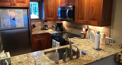 Gore Creek just off the back deck, Free Bus, Wi-Fi, Hot Tub, Summer Pool