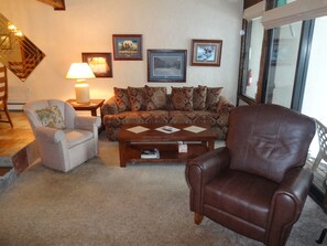 Televisión de pantalla plana, chimenea, reproductor de DVD, libros