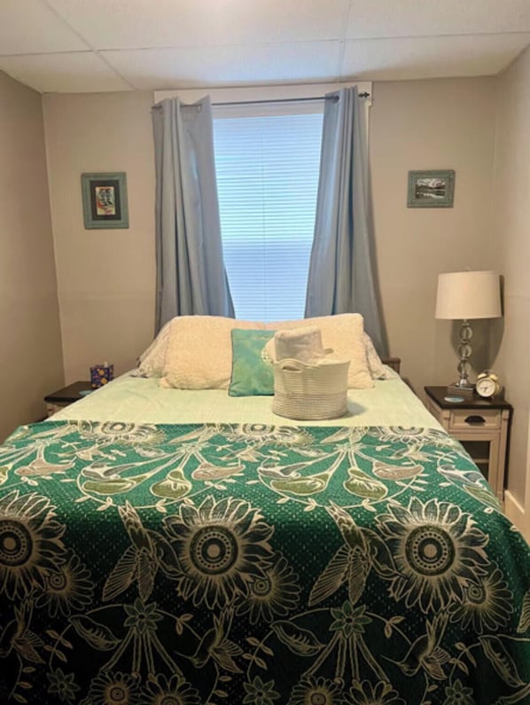 1 bedroom, iron/ironing board, WiFi, bed sheets - Marathon Historic Apartments-heart of Downtown - Charming 1 bedroom (Seward)