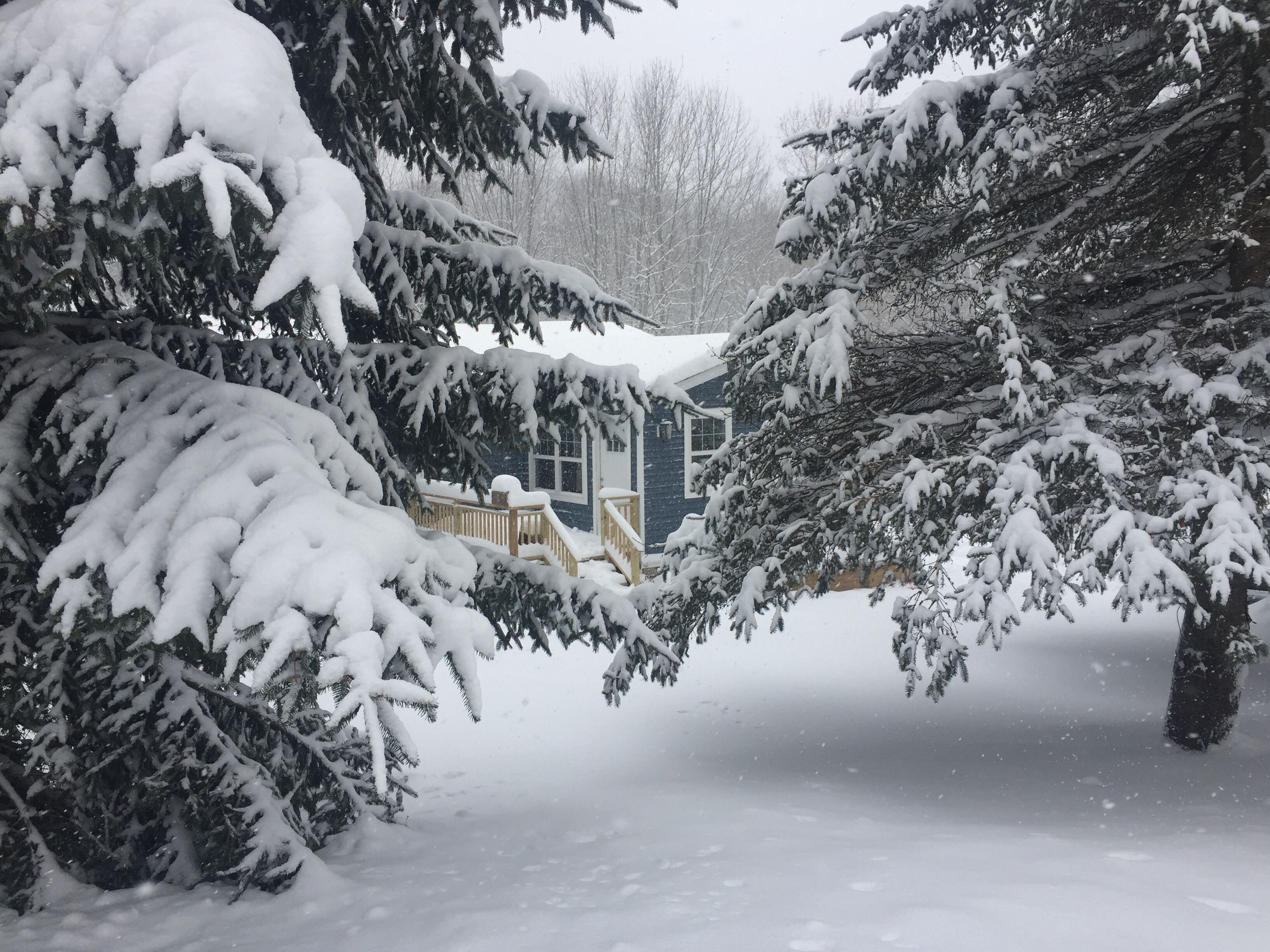 Snow!
