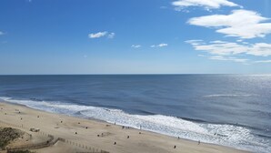 A beach with a sandy shore and a clear blue sky.