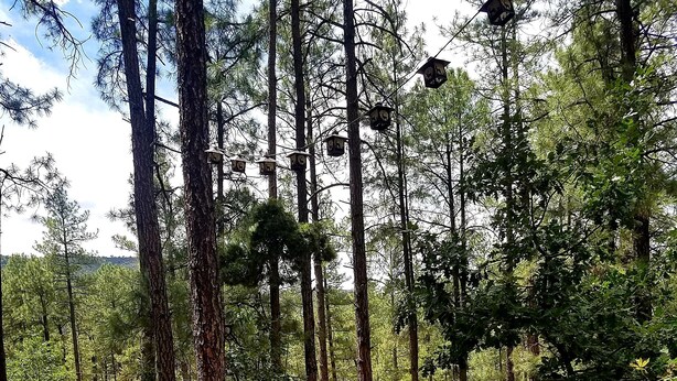 A wooden deck with rocking chairs and a railing overlooking a forest. -  "Palms to Pines Cabin" - Your home away from home... ☆ 5/5 ☆ Star Rated (Pine)