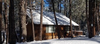"Palms to Pines Cabin" - Your home away from home... ☆ 5/5 ☆ Star Rated