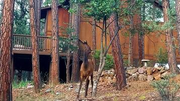 Overnatningsstedets område