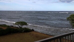A view of the ocean from a balcony with a tree and a railing. - End Unit Yards from Ocean Looking East With Major Sunrises (Kapaa)