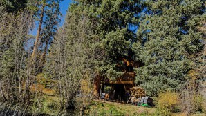 Una cabaña rodeada de un bosque frondoso y un estanque.