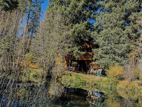 Una cabaña rodeada de un bosque frondoso y un estanque.