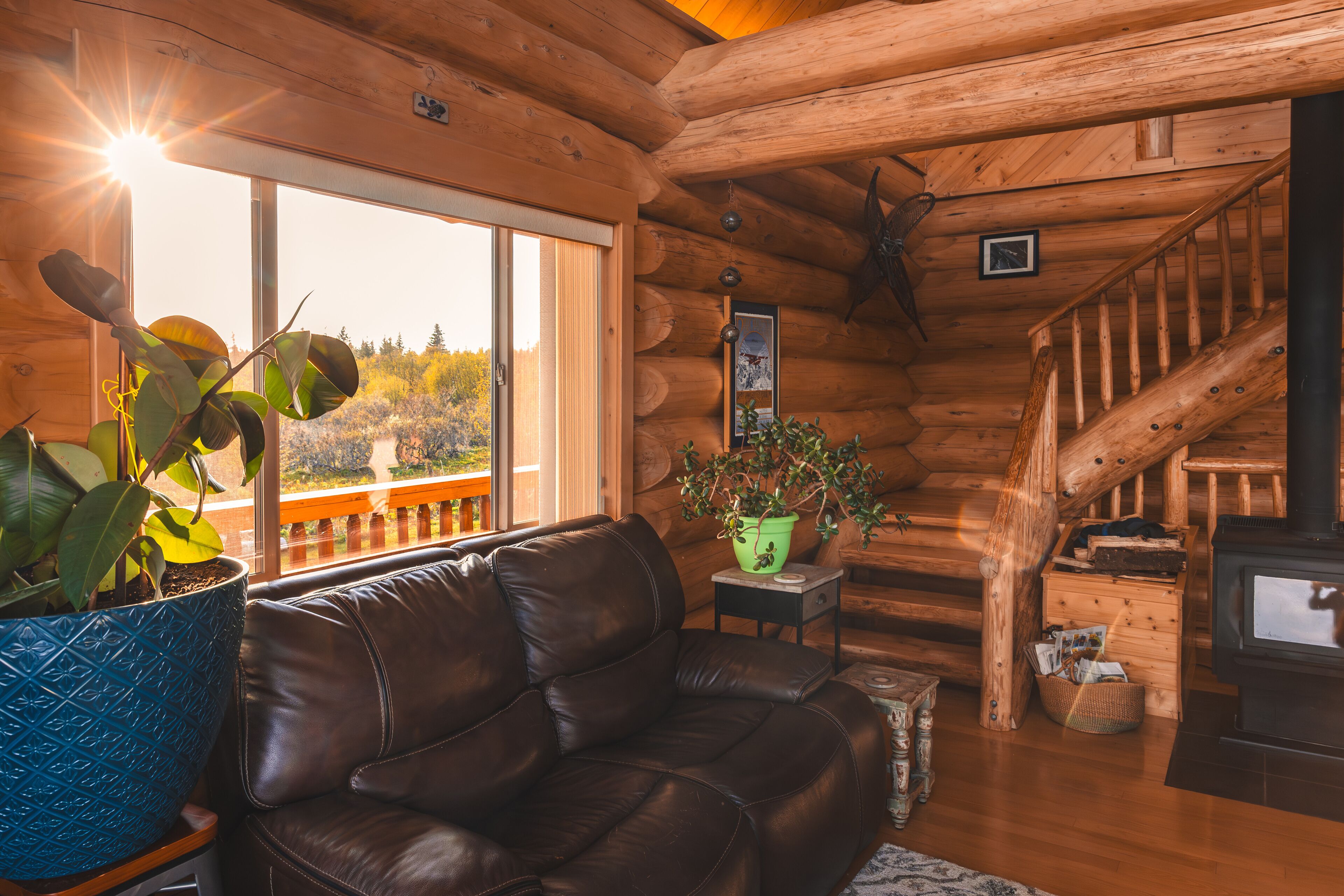 智能電視、壁爐、書籍