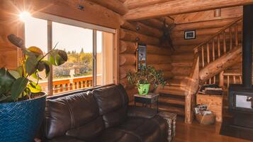 Smart TV, lareira, livros