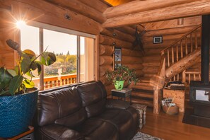 Älytelevisio, takka, kirjoja