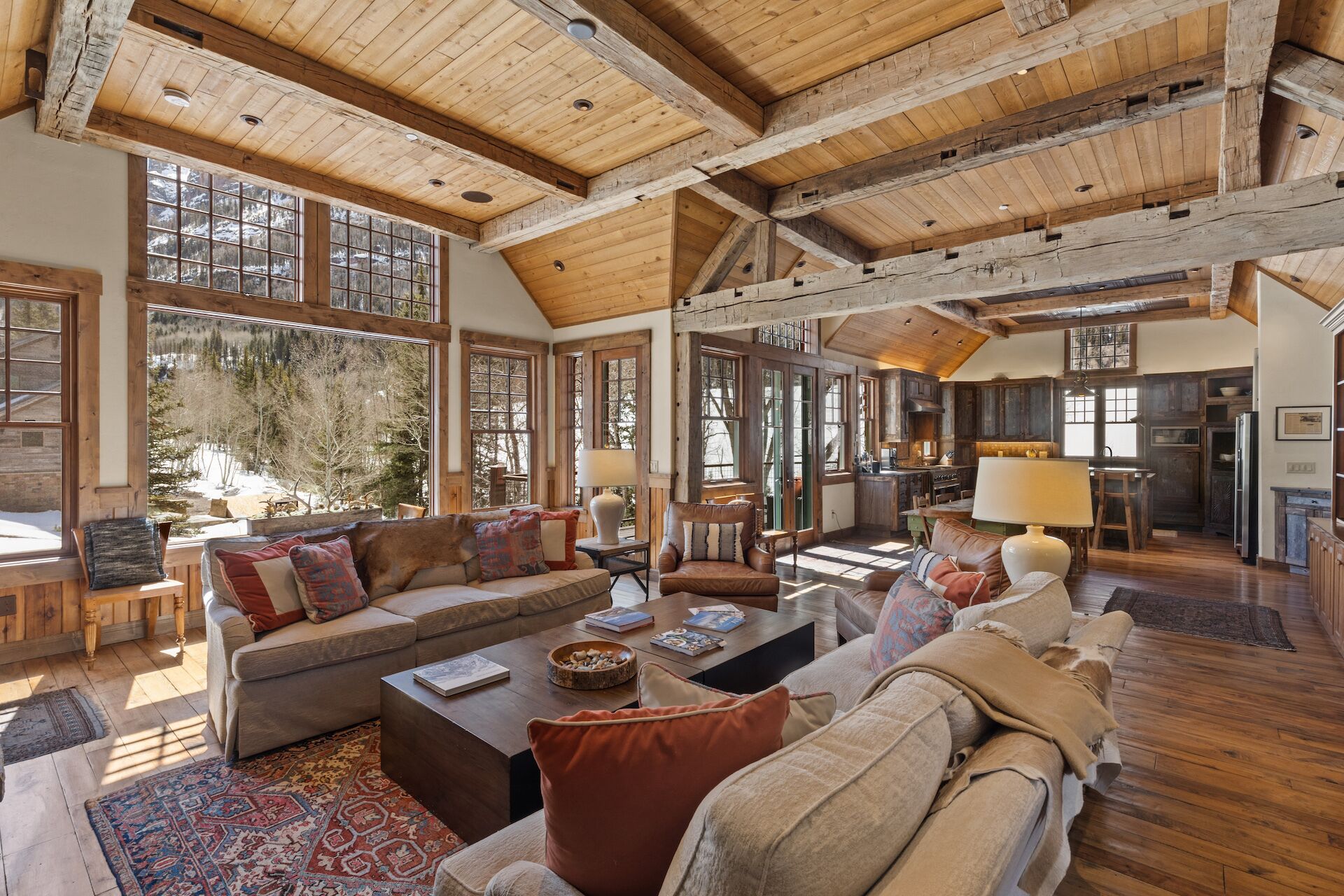 TV connectée, cheminée, lecteur de DVD, livres